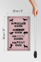Holzschild Spruch 20x30cm Pferde Wallach Hengst Pony Stute