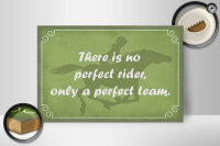 Holzschild Spruch 30x20cm there is no perfect rider only