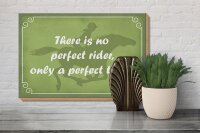 Holzschild Spruch 30x20cm there is no perfect rider only