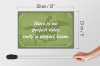 Holzschild Spruch 30x20cm there is no perfect rider only