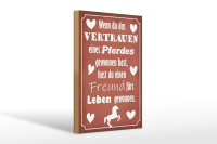 Holzschild Spruch 20x30cm Vertrauen eines Pferdes Freund