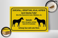 Holzschild Hinweis 30x20cm füttern strengstens verboten