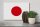 Holzschild Flagge Japans 30x20cm Flag of Japan