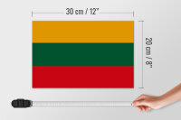 Holzschild Flagge Litauens 30x20cm Flag of Lithuania