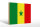 Holzschild Flagge Senegal 30x20cm Flag of Senegal