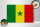 Holzschild Flagge Senegal 30x20cm Flag of Senegal