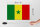 Holzschild Flagge Senegal 30x20cm Flag of Senegal