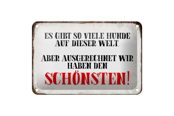 Blechschild Spruch 18x12cm wir haben den schönsten Hund