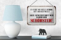 Blechschild Spruch 18x12cm wir haben den schönsten Hund
