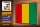 Holzschild Flagge Guineas 30x20cm Retro Flag of Guinea