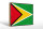 Holzschild Flagge Guyanas 30x20cm Retro Flag of Guyana
