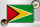 Holzschild Flagge Guyanas 30x20cm Retro Flag of Guyana