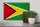 Holzschild Flagge Guyanas 30x20cm Retro Flag of Guyana