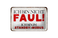 Blechschild Spruch 18x12cm bin nicht faul im standby Modus