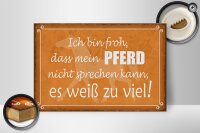 Holzschild Spruch 30x20cm bin froh mein Pferd nicht spricht