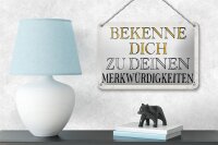 Blechschild Spruch 18x12cm bekenne dich Merkwürdigkeiten