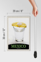 Holzschild Reise 20x30cm Mexiko USA Amerika Tequila Zitrone