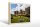 Holzschild Städte England UK Windsor Castle 30x20cm
