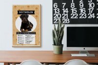 Holzschild Spruch 20x30cm Rottweiler Eigentumsrechte Geschenk