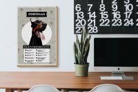 Holzschild Spruch 20x30cm Doberman Eigentumsrechte Geschenk