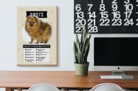 Holzschild Spruch 20x30cm Spitz Eigentumsrechte Geschenk
