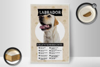 Holzschild Spruch 20x30cm Labrador Eigentumsrechte Geschenk