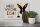 Holzschild Spruch 30x20cm Hase hier wache ich eigene Gefahr