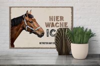 Holzschild Spruch 30x20cm Pferd links hier wache ich eigene Gefahr Schild