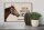 Holzschild Spruch 30x20cm Pferd links hier wache ich eigene Gefahr Schild