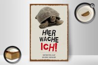 Holzschild Spruch 20x30cmkröte hier wache eigene Gefahr
