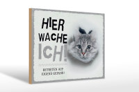 Holzschild Spruch 30x20cm Katze hier wache eigene Gefahr