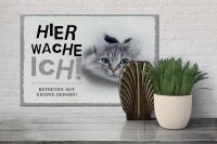Holzschild Spruch 30x20cm Katze hier wache eigene Gefahr