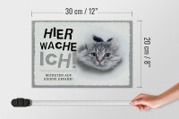 Holzschild Spruch 30x20cm Katze hier wache eigene Gefahr