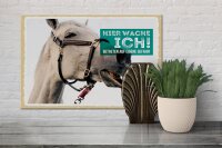 Holzschild Spruch 30x20cm Pferd Schimmel hier wache ich
