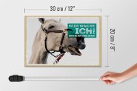 Holzschild Spruch 30x20cm Pferd Schimmel hier wache ich