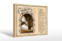 Holzschild Berufe Tierärztin behandelt ruhig Tiere...
