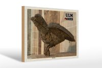 Holzschild Städte Ulm Ulmer Spatz Skulptur 30x20cm