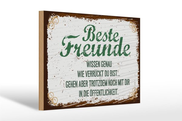 Holzschild Spruch 20x30cm Beste Freunde wissen grün braun
