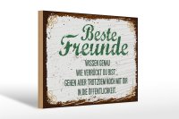 Holzschild Spruch 20x30cm Beste Freunde wissen grün...
