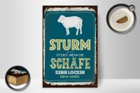 Holzschild Spruch Sturm wenn Schafe keine Locken 20x30cm