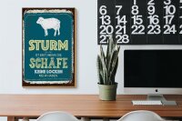 Holzschild Spruch Sturm wenn Schafe keine Locken 20x30cm