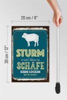 Holzschild Spruch Sturm wenn Schafe keine Locken 20x30cm