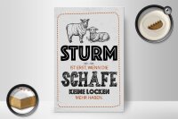 Holzschild Spruch lustig Sturm wenn Schafe Locken 20x30cm