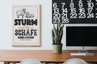 Holzschild Spruch lustig Sturm wenn Schafe Locken 20x30cm