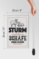 Holzschild Spruch lustig Sturm wenn Schafe Locken 20x30cm