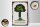 Holzschild Spruch Familie ist wie ein Baum 20x30cm