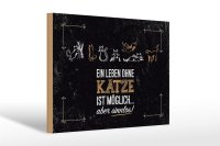 Holzschild Spruch Katze Ein Leben ohne Katze möglich 30x20cm