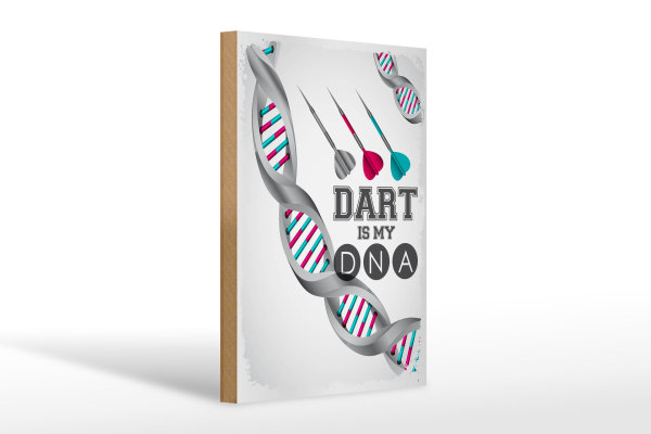 Holzschild Spruch 20x30cm Dart is my DNA Schild