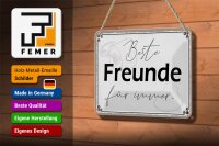 Blechschild Spruch 18x12cm beste Freunde für immer