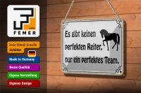Blechschild Spruch 18x12cm es gibt keinen perfekten Reiter